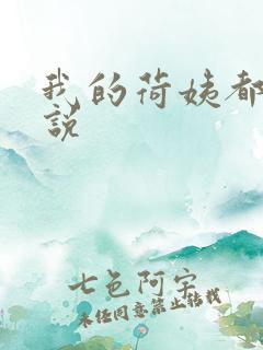 我的荷姨都市小说