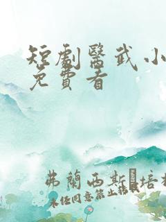 短剧医武小天师免费看