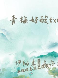 青梅好酸txt