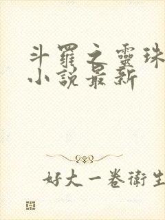 斗罗之灵珠神剑小说最新