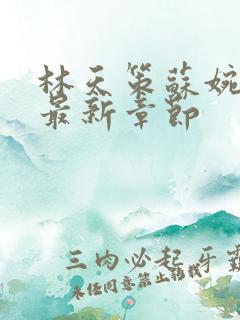 林天策苏婉小说最新章节
