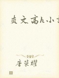 爽文高h小说