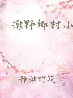 潮野乡村小说