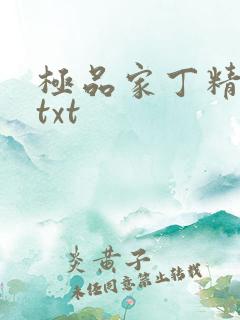 极品家丁精校版txt