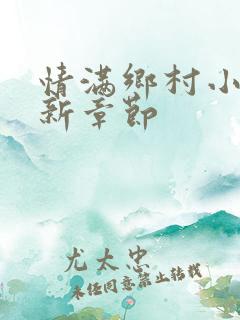 情满乡村小说最新章节