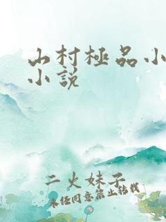 山村极品小农民小说