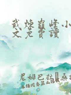 武炼巅峰小说全文免费读