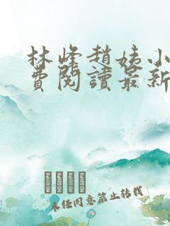 林峰赵姨小说免费阅读最新章节