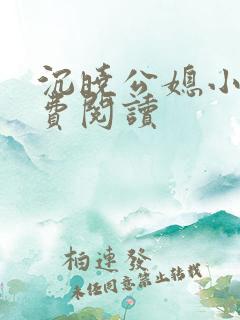 沉晓公媳小说免费阅读
