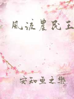 风流农民王小兵