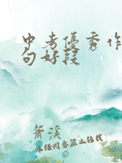 中考优秀作文好句好段