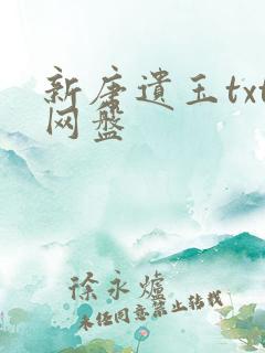 新唐遗玉txt网盘