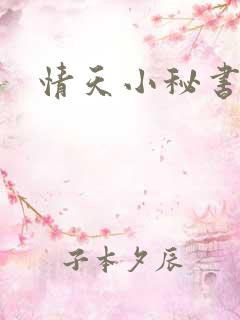 情天小秘书
