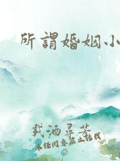所谓婚姻小说
