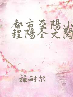 都市至阳小神医程阳全文阅读