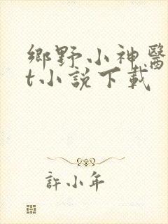 乡野小神医txt小说下载