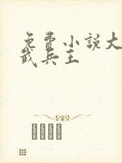 免费小说大全医武兵王