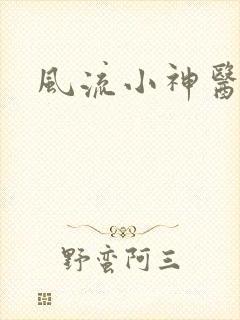 风流小神医