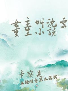 女主叫沈云卿的重生小说
