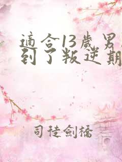 适合13岁男孩到了叛逆期怎么教