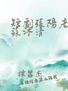 短剧张阳老板娘苏沐清