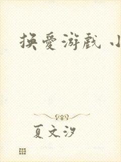 换爱游戏 小说