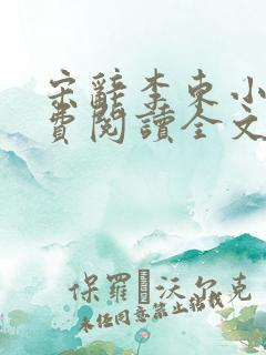 宋辞李东小说免费阅读全文无弹窗