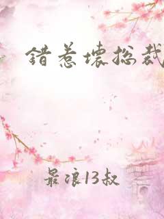 错惹坏总裁