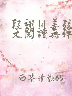 段翊川姜弦歌全文阅读无弹窗笔趣阁