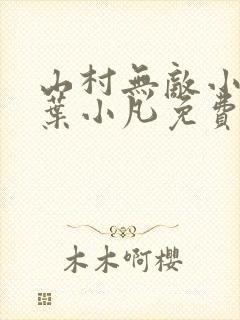 山村无敌小医仙叶小凡免费阅读