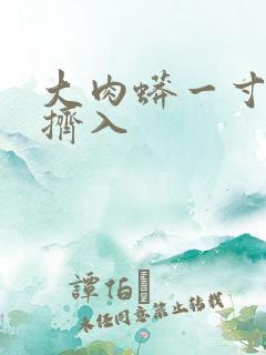大肉蟒一寸一寸挤入