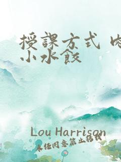 授课方式 肉馅小水饺