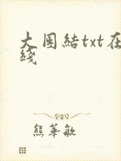 大团结txt在线