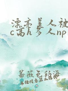 漂亮美人被迫挨c高h多人np小说