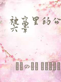 被窝里的公息十六章