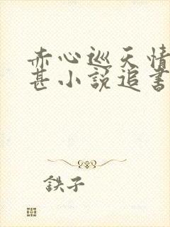 赤心巡天情何以甚小说追书