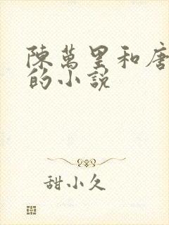 陈万里和唐嫣然的小说