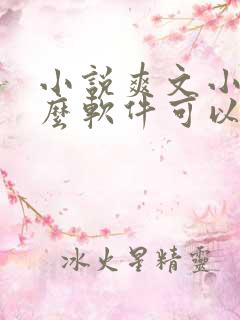 小说爽文小说什么软件可以看免费