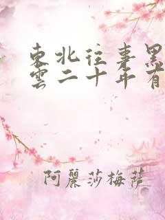 东北往事黑道风云二十年有声小说全集