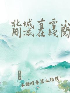 北城有雪小说无删减在线阅读