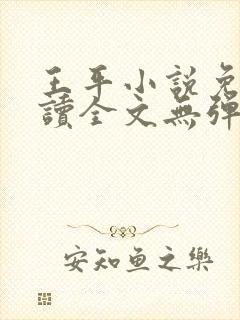 王平小说免费阅读全文无弹窗