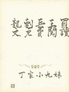 龙刺兵王罗昊全文免费阅读