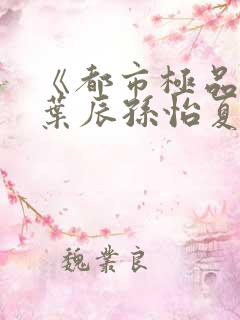 《都市极品医神叶辰孙怡夏若雪》