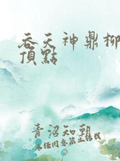 吞天神鼎柳无邪顶点