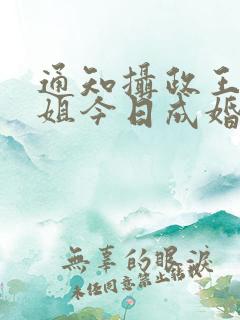 通知摄政王本小姐今日成婚小说全文免费阅读