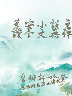 叶安小说免费阅读全文无弹窗