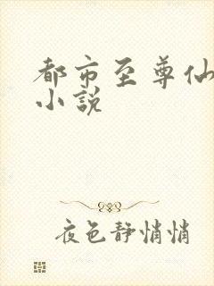 都市至尊仙帝 小说