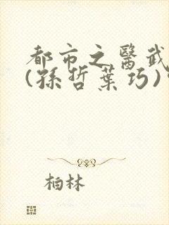 都市之医武风流(孙哲叶巧)完整版