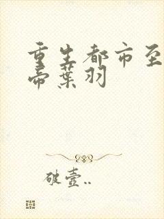 重生都市至尊仙帝叶羽