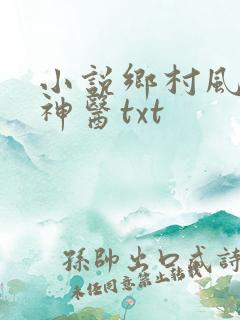 小说乡村风流小神医txt